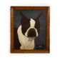 Dog Portrait - Late to the Party