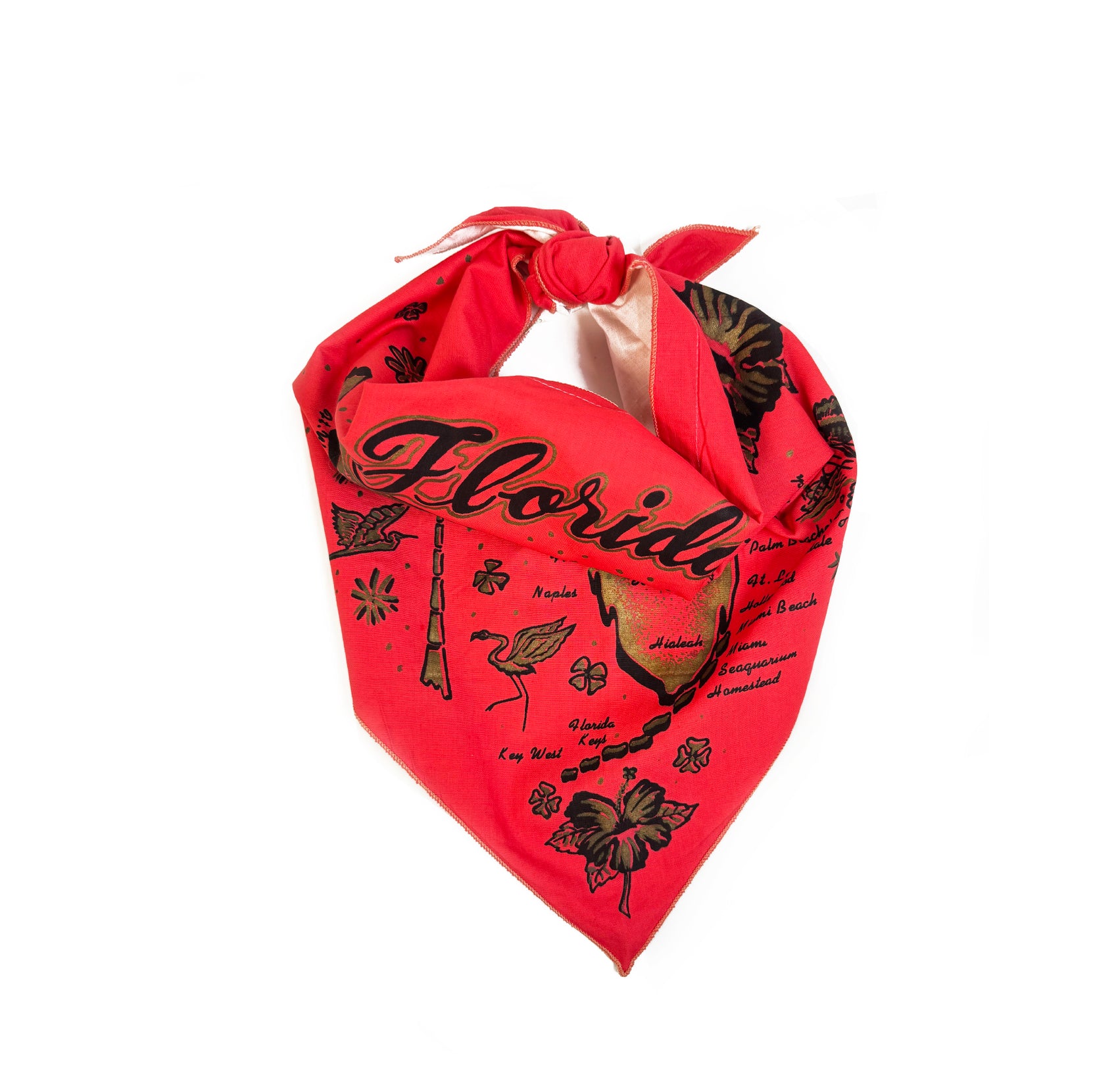 Vintage Florida Souviner Scarf