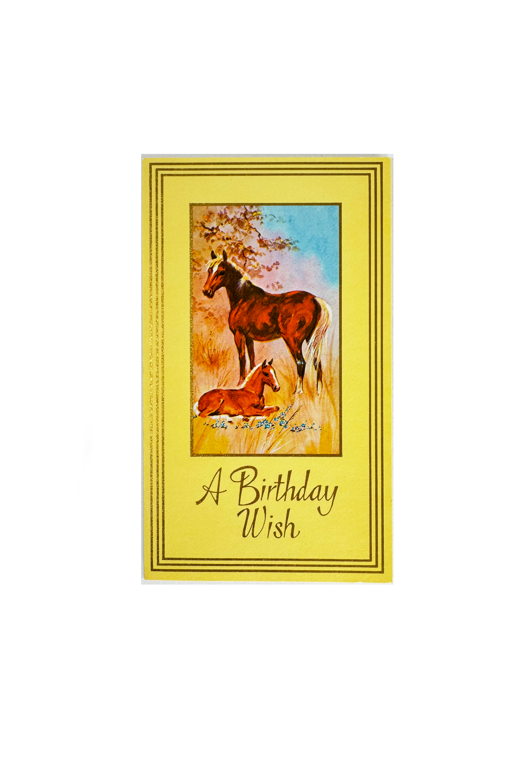 Horse Girl Birthday Card