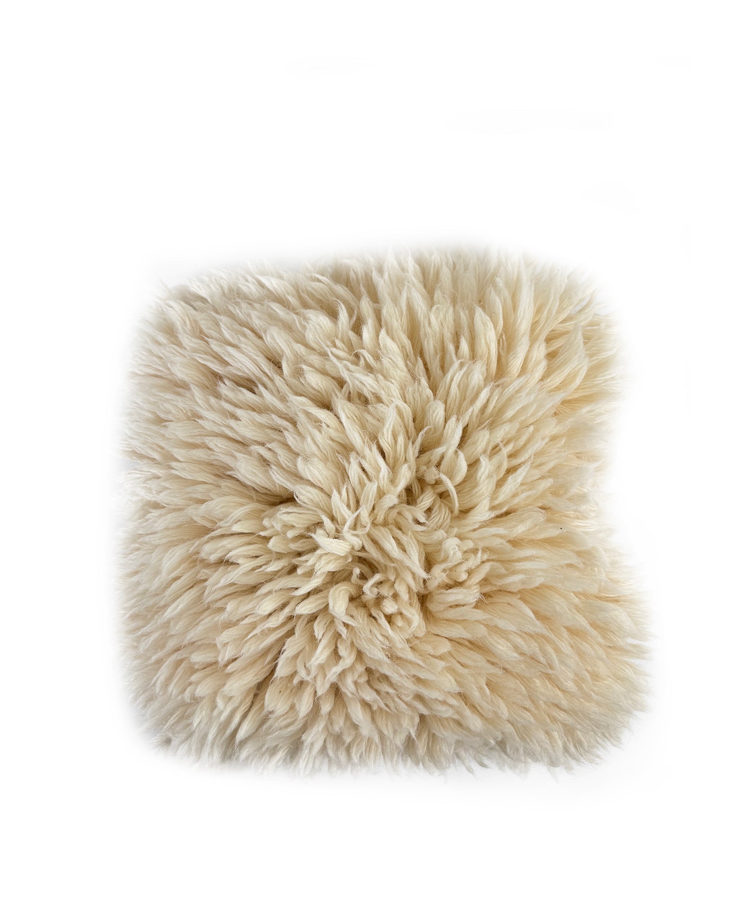 Shaggy Pillow